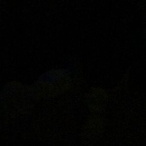 Meet your Posher, Charles